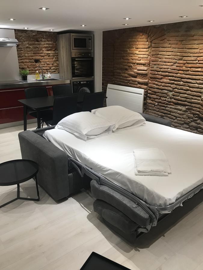 O Briques De Toulouse Apartment Bagian luar foto